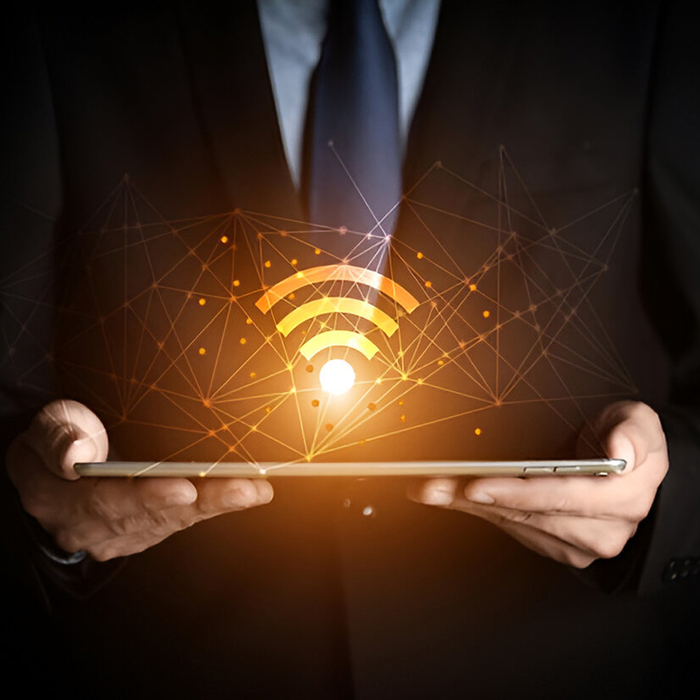 business-wifi-installations-pumanawan-security-dp